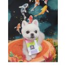 교차로25시