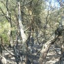 상경초교 이미지