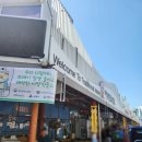 남대천강릉교밑 이미지