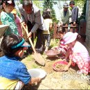 버들어린이집 이미지