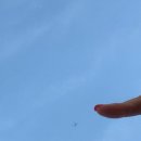 카페음봉 이미지