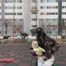홍주야식 이미지