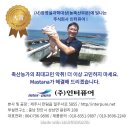 (주)인터퓨어 네이버블로그