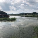 사계지낚시터 이미지