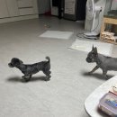 멍벤져스 이미지