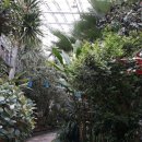 숲해설체험 이미지