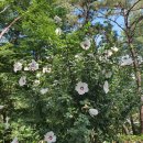 수목원농장 이미지