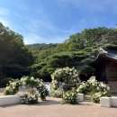 [웨딩/결혼 준비] 베뉴 투어(a.k.a.대신 발품 팔아 드립니다)_한옥 스몰 웨딩(가격대 포함)