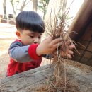 춘추 유아숲체험원 이미지