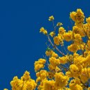 김성민한의원 이미지