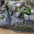 석부농장 이미지