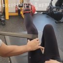 아이디얼 핏 이미지