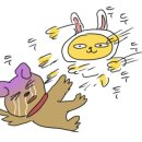 도연아이피