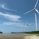 금만태양광발전소 이미지