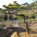 지리산농장 이미지