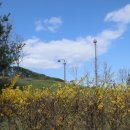 마리미공원 이미지