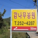감나무골농원
