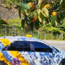 영동제일요양병원 이미지