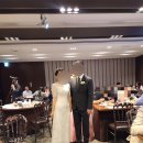 보뜨르블랑 | [2부드레스] 피로연 드레스 보뜨르블랑 대여 찐만족 후기