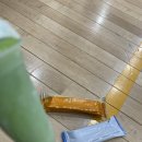 포비네 오두막 | 영원하지 않아 더 소중한