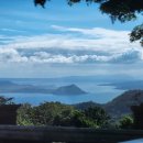 세실리아스 이미지