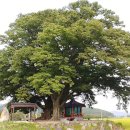 용주마을회관 이미지