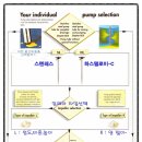 제이에스인터네셔널(JS International)