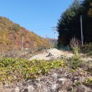 양평믿음공인중개사사무소 이미지