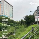 경고비 | [2025인천송도국제마라톤대회 후기] 비를 맞으며 달려보자