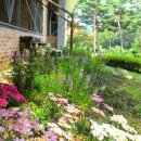 수석행정사사무소 이미지