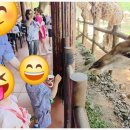 그랜드카서비스 이미지