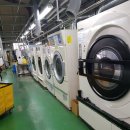 청년세탁공장 이미지