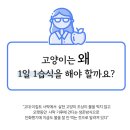 (주)티피팜 네이버블로그