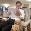 우리 강아지 이미지