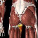 라인업필라테스 이미지