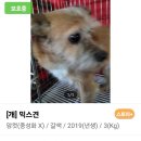 부산진구-11 이미지