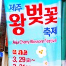 제주ㅡ전농로 왕벚꽃축제 이미지