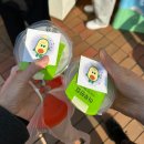 행정용 26 | [김천] 김밥축제 방문 후기 (2025/10/26 방문)