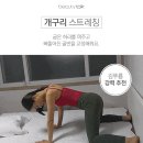 골반교정에 좋은 개구리자세 이미지