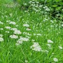 방하농장 이미지