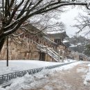 추워도 매력만점*̥❄︎‧˚ 겨울 경주 인기 스팟 랜선 여행 이미지