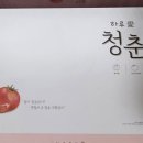 인셀덤뷰티컴퍼니