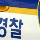 소동느티나무 이미지