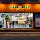 버블독스송파