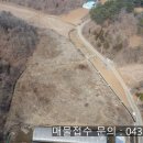 최강부동산공인중개사사무소 이미지