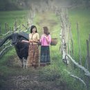 국제외국인행정사사무소 이미지