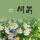 새밝 이미지