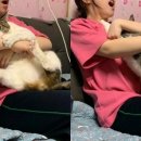 마성의냥이
