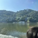 부여군민체육관 | 부여) 수륙양용버스 시티투어 궁남지에서 산책 하기