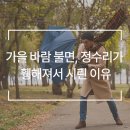 웰킨 청량리점